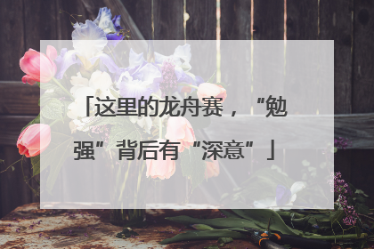 这里的龙舟赛，“勉强”背后有“深意”