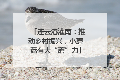 连云港灌南：推动乡村振兴，小蘑菇有大“蘑”力