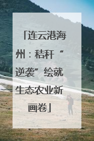 连云港海州：秸秆“逆袭”绘就生态农业新画卷