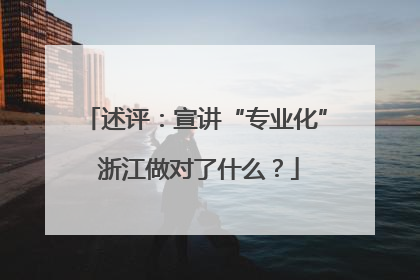 述评：宣讲“专业化” 浙江做对了什么？