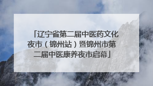 辽宁省第二届中医药文化夜市（锦州站）暨锦州市第二届中医康养夜市启幕