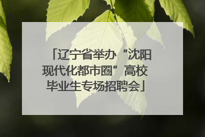 辽宁省举办“沈阳现代化都市圈”高校毕业生专场招聘会