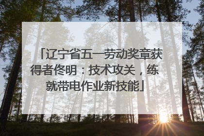 辽宁省五一劳动奖章获得者佟明：技术攻关，练就带电作业新技能