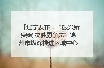 辽宁发布｜“振兴新突破 决胜勇争先”锦州市纵深推进区域中心城市建设 打造高质量发展新增长极