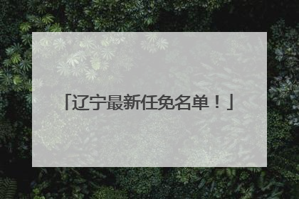 辽宁最新任免名单！