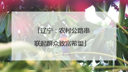 辽宁：农村公路串联起群众致富希望