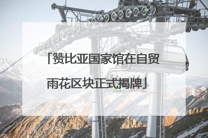 赞比亚国家馆在自贸雨花区块正式揭牌