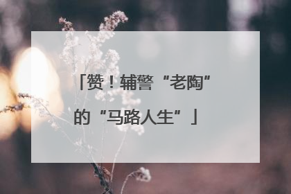 赞！辅警“老陶”的“马路人生”