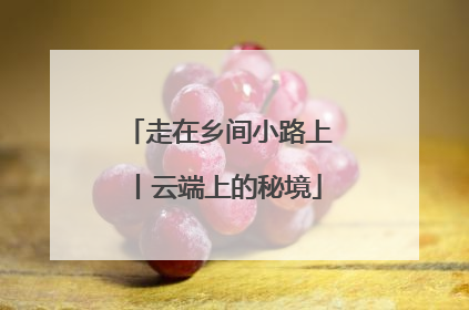 走在乡间小路上丨云端上的秘境