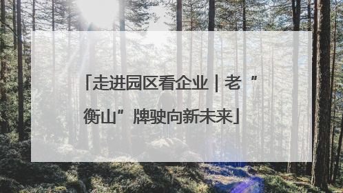 走进园区看企业｜老“衡山”牌驶向新未来