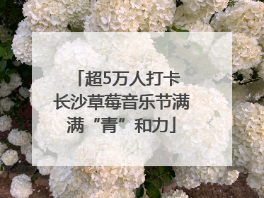 超5万人打卡 长沙草莓音乐节满满“青”和力