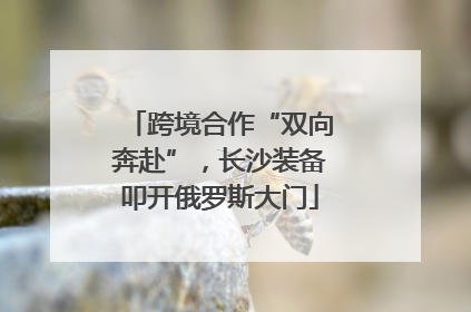 跨境合作“双向奔赴”，长沙装备叩开俄罗斯大门