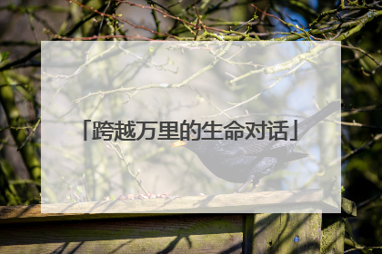 跨越万里的生命对话