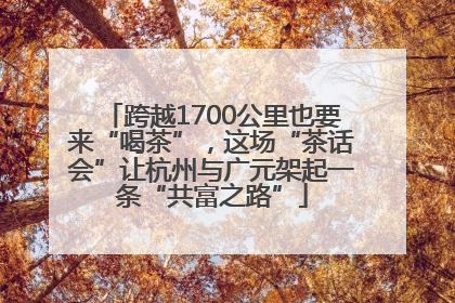 跨越1700公里也要来“喝茶”，这场“茶话会”让杭州与广元架起一条“共富之路”