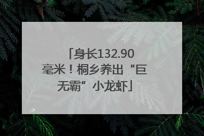 身长132.90毫米！桐乡养出“巨无霸”小龙虾