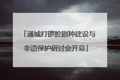 通城打锣腔剧种建设与非遗保护研讨会开幕