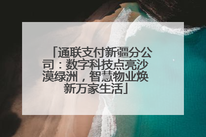 通联支付新疆分公司：数字科技点亮沙漠绿洲，智慧物业焕新万家生活