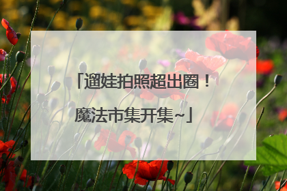 遛娃拍照超出圈！魔法市集开集~