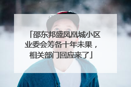 邵东邦盛凤凰城小区业委会筹备十年未果，相关部门回应来了