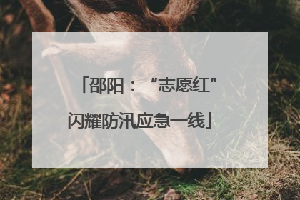 邵阳：“志愿红”闪耀防汛应急一线