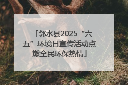 邻水县2025“六五”环境日宣传活动点燃全民环保热情