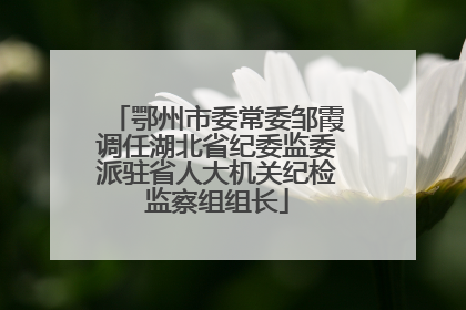 鄂州市委常委邹霞调任湖北省纪委监委派驻省人大机关纪检监察组组长