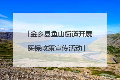 金乡县鱼山街道开展医保政策宣传活动