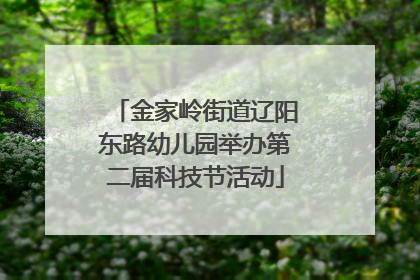 金家岭街道辽阳东路幼儿园举办第二届科技节活动