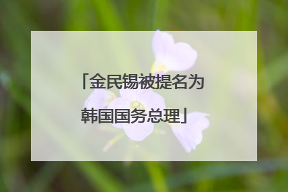 金民锡被提名为韩国国务总理