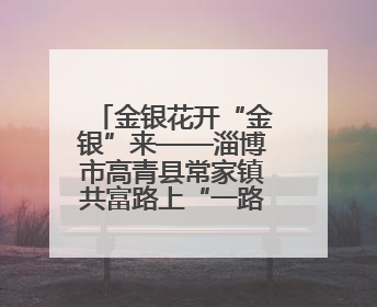 金银花开“金银”来——淄博市高青县常家镇共富路上“一路生花”