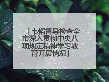 韦韬督导检查全市深入贯彻中央八项规定精神学习教育开展情况