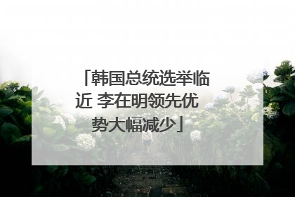韩国总统选举临近 李在明领先优势大幅减少
