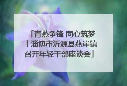 青燕争锋 同心筑梦丨淄博市沂源县燕崖镇召开年轻干部座谈会