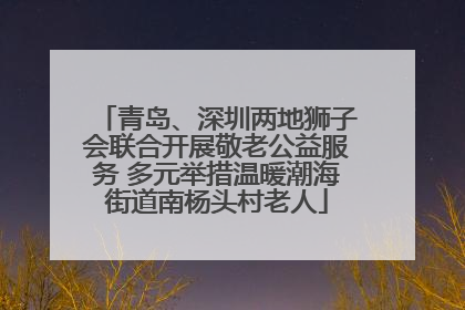 青岛、深圳两地狮子会联合开展敬老公益服务 多元举措温暖潮海街道南杨头村老人