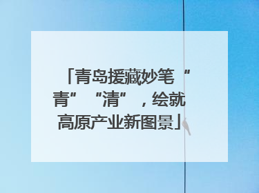 青岛援藏妙笔“青”“清”，绘就高原产业新图景