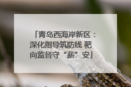 青岛西海岸新区：深化指导筑防线 靶向监督守“薪”安