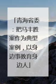 青海省委：把马丰胜案作为典型案例，以身边事教育身边人