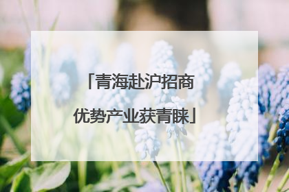 青海赴沪招商 优势产业获青睐