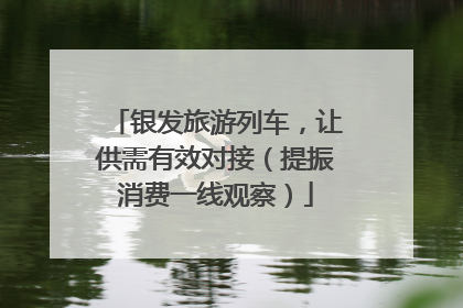 银发旅游列车，让供需有效对接（提振消费一线观察）