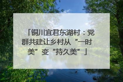 铜川宜君东湖村：党群共建让乡村从“一时美”变“持久美”