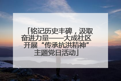 铭记历史丰碑，汲取奋进力量——大成社区开展“传承抗洪精神”主题党日活动