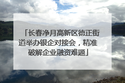长春净月高新区德正街道举办银企对接会，精准破解企业融资难题