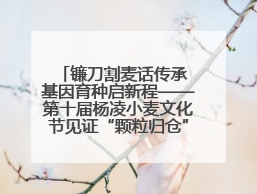 镰刀割麦话传承 基因育种启新程——第十届杨凌小麦文化节见证“颗粒归仓”时空跨越