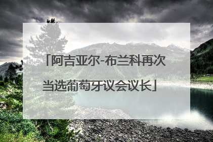 阿吉亚尔-布兰科再次当选葡萄牙议会议长