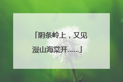 阴条岭上，又见漫山海棠开……