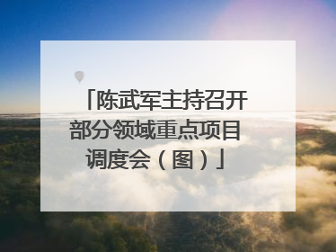 陈武军主持召开部分领域重点项目调度会（图）
