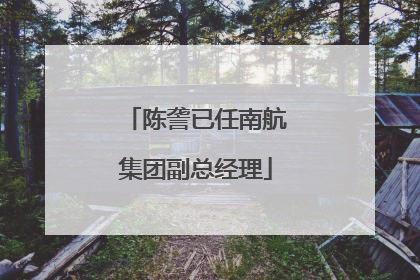 陈詟已任南航集团副总经理