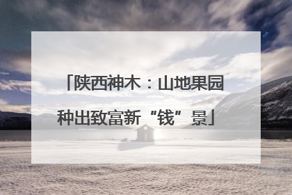 陕西神木：山地果园种出致富新“钱”景