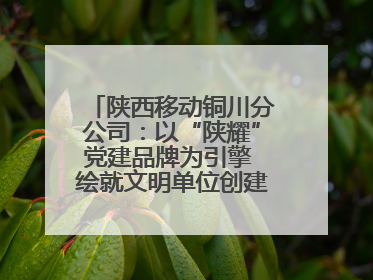 陕西移动铜川分公司：以“陕耀”党建品牌为引擎 绘就文明单位创建新画卷——全国文明单位创建纪实