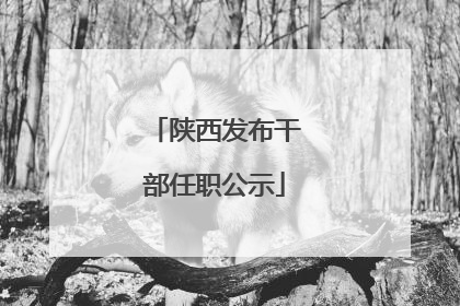 陕西发布干部任职公示